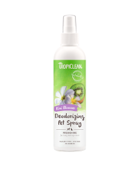 Kiwi Blossom Spray