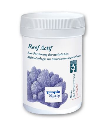 Reef Actif