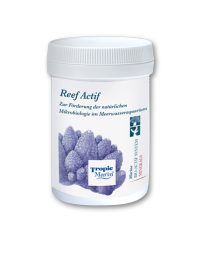 Reef_Actif_2